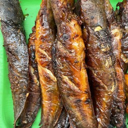 ปลาดุกย่าง