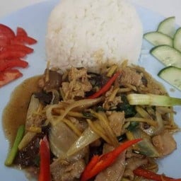 ข้าว+ผัดขิง