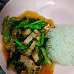 ข้าว+ผัดคะน้า