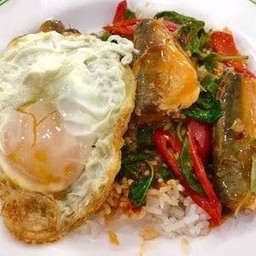 ผัดกะเพราปลากระป๋อง ราดข้าว