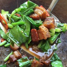 ผัดคะน้า หมูกรอบ