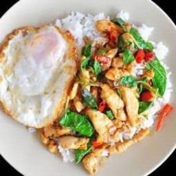 ร้านครัวคุณแขก - พิมพสุต ขอนแก่น