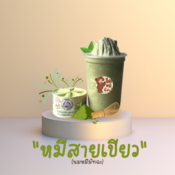 หมีสายเขียว - bear matcha frappe