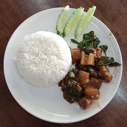 กะเพราเอ็นแก้ว