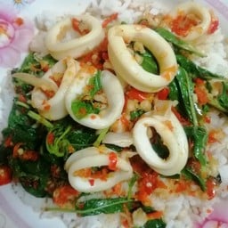ผัดกะเพราราดข้าว