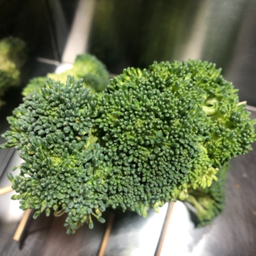 MENU_529436Gp_1643285823