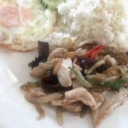 ผัดขิงหมูราดข้าว