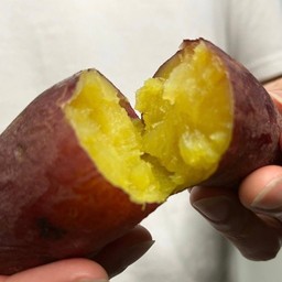 เบนิอิโมะ (มันหวานญี่ปุ่น)  เป็นเพื่อนกับกุ้งดองซีอิ๊วเกาหลี ติดกับโลตัสหางดง