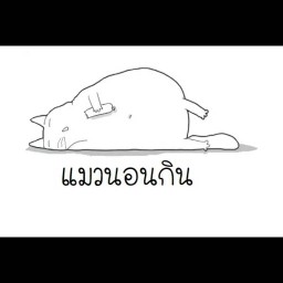 แมวนอนกิน