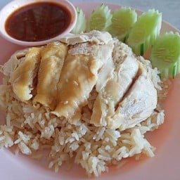 ข้าวมันไก่โชกุน