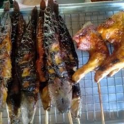 ปลาดุกย่าง