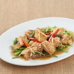 ปลากระพงผักคื่นช่าย