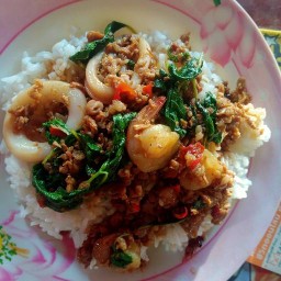 กะเพราพริกแห้งนี่กว่า