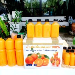 หนูนาน้ำผลไม้สด@เนื้อย่างริบอาย