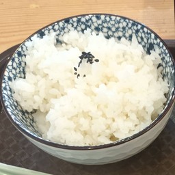 ข้าวญี่ปุ่น