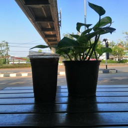 Es'caNo(กาแฟบดมือ)