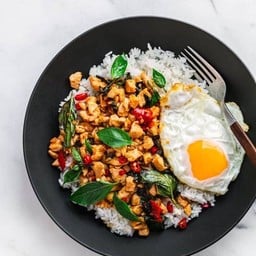 ข้าวกะเพราไก่