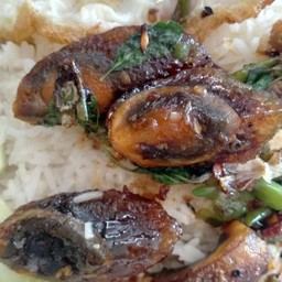 กระเพราไข่เยี่ยวม้า