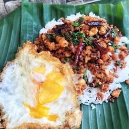 ข้าวดระเพราเนื้อราดข้าว