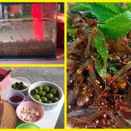 ยำกุ้งโคโยตี้แซ่บเว่อร์