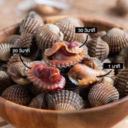 หอยอร่อย น้ำจิ้มรสเด็ด