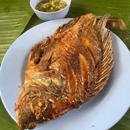 ปลานิลทอด