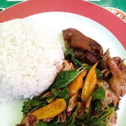 กะเพราขาหมูพะโล้ราดข้าว