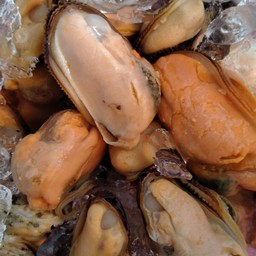 ยำหอยแมลงภู่