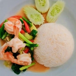 ข้าวคะน้ากุ้งผัดน้ำมันหอย