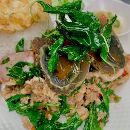 ข้าวกะเพราไข่เยี่ยวม้ารวมมิตร