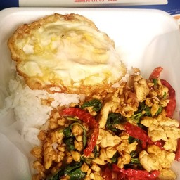 กระเพราไก่ราดข้าว+ไข่ดาว