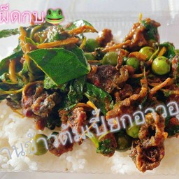 ผัดเผ็ดกบ ราดข้าว