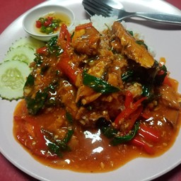 ข้าว กระเพาปลากะป๋อง