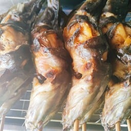 ปลาดุกย่าง