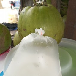 มะพร้าวสด.cim