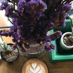 พิโกโล ลาเต้  Piccola latte เมนูร้อน