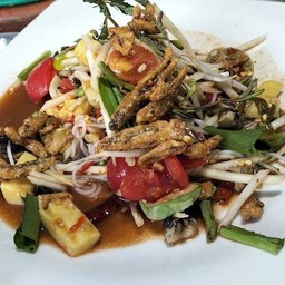 ส้มตำป่า