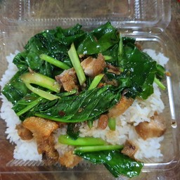 ข้าวราดคะน้าหมูกรอบ