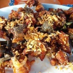 กบ ทอดกระเทียม