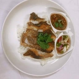 ข้าวปลาแกะ88