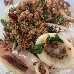 กระเพราหมูสับปลาหมึก