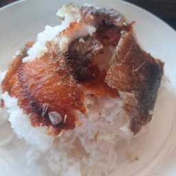 ฟ้าฉายฟาร์ม FarShine Farm ประชาสโมสร - ขอนแก่น
