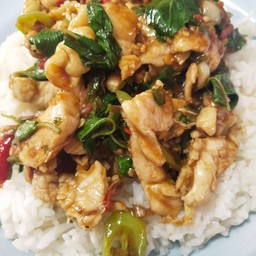 ผัดกระเพราไก่ราดข้าว