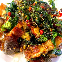 ผัดกะเพราหมูกรอบไข่เยี่ยวม้า