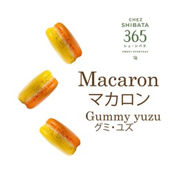 Macaron Gummy Yuzu (1 piece)