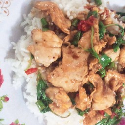 กะเพราไก่