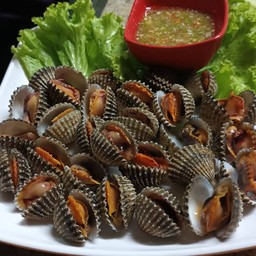 หอยแคลงลวก