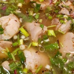 ต้นแซ่บหางหมู