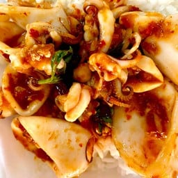 ผัดพริกแกงปลาหมึก