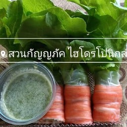 สลัด กัญญภัค